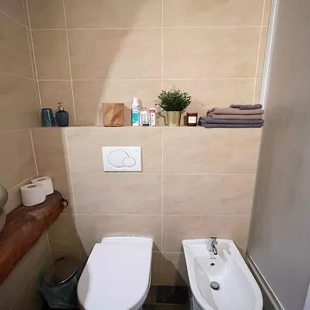 Historic Apartment Near Charles Bridge Apartment