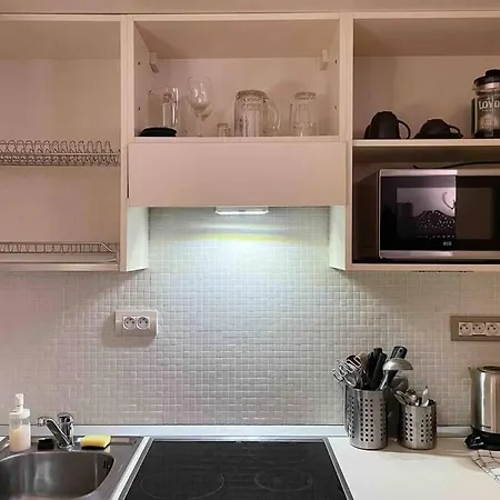 Historic Apartment Near Charles Bridge Apartment *